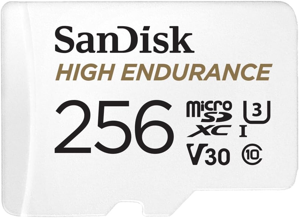 MICRO SD CAM 256